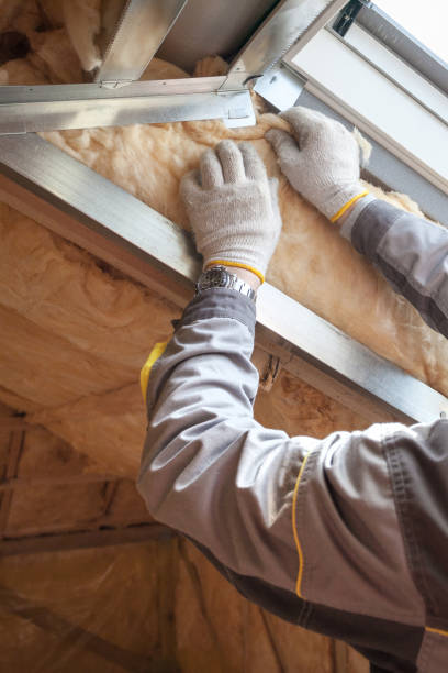 Types of Insulation We Offer in AZ